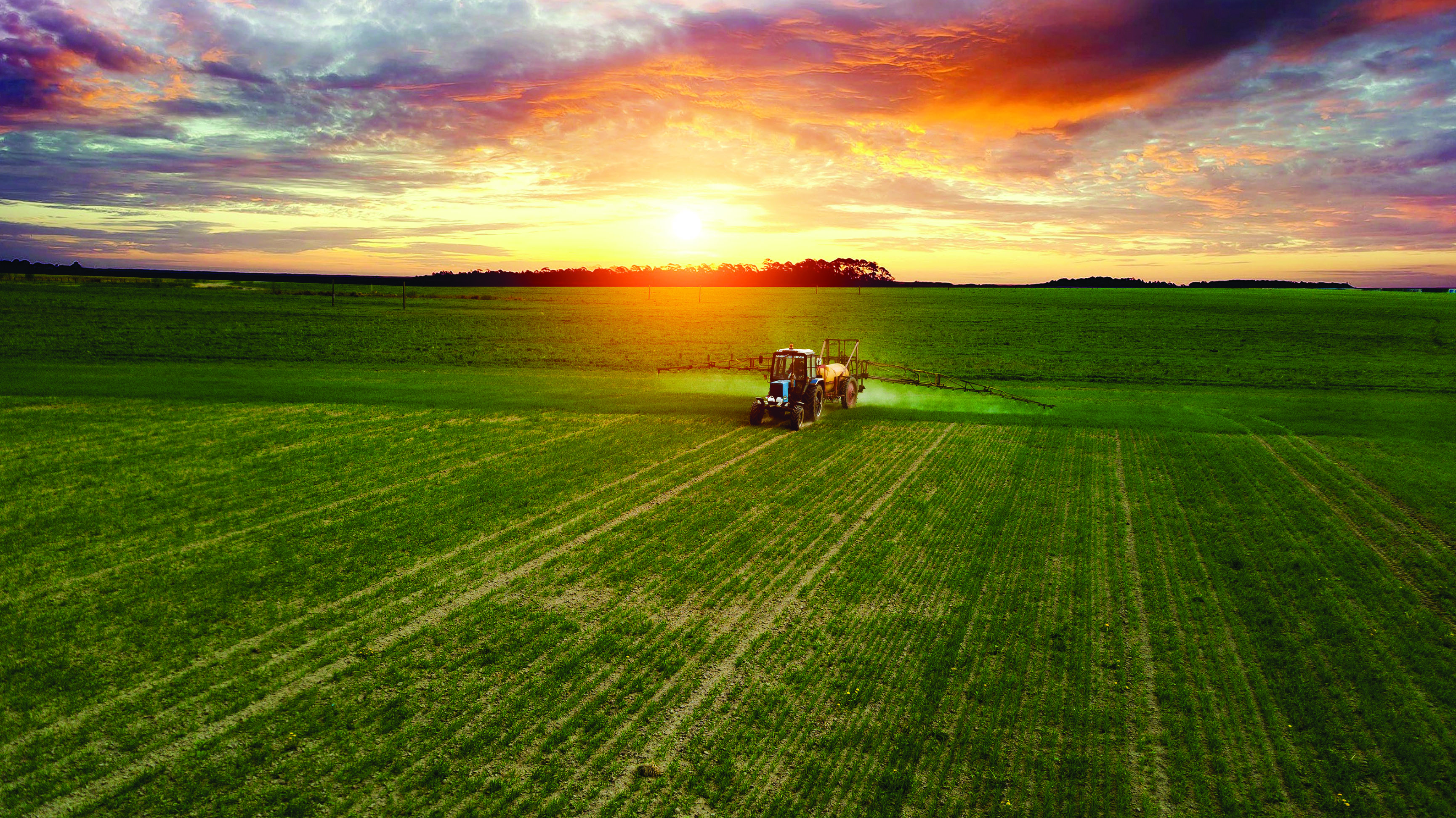 A tractor in a farm field at sunset.